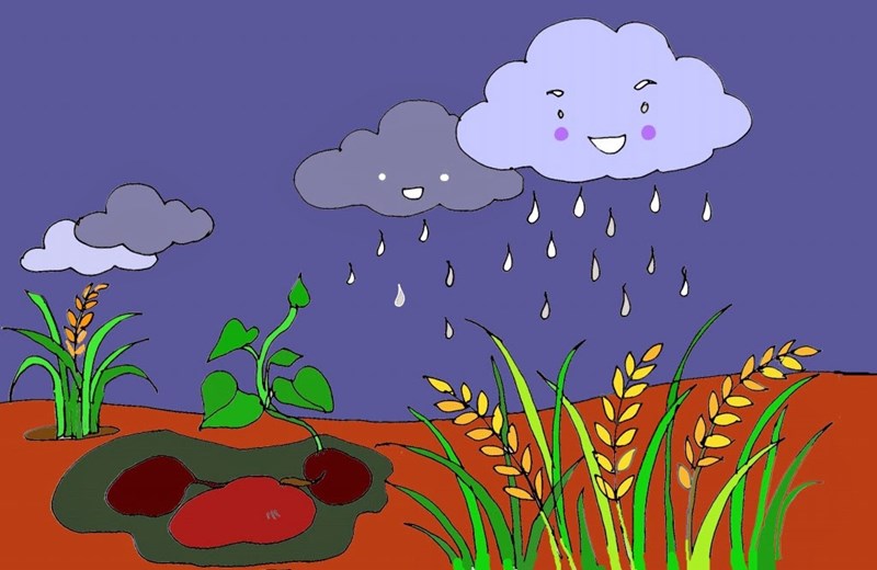 Bài giảng tương tác: Tạo hình   Vẽ mưa  
